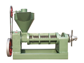 6YL-120 oil press