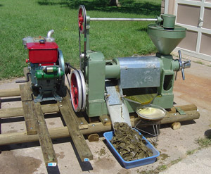 Oil Press with Diesel Motor