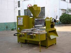 Automatic Oil Press